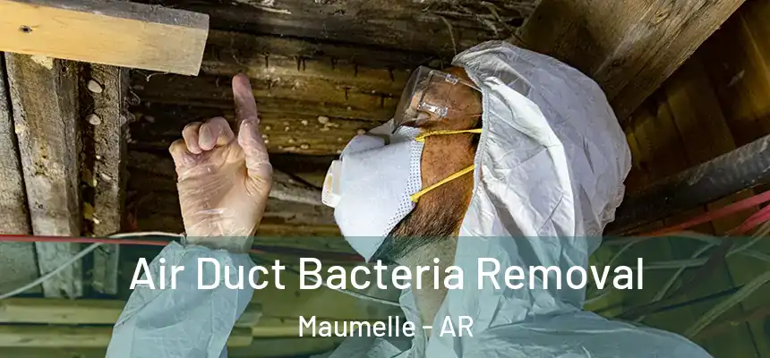  Air Duct Bacteria Removal Maumelle - AR