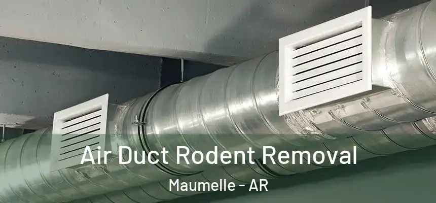  Air Duct Rodent Removal Maumelle - AR