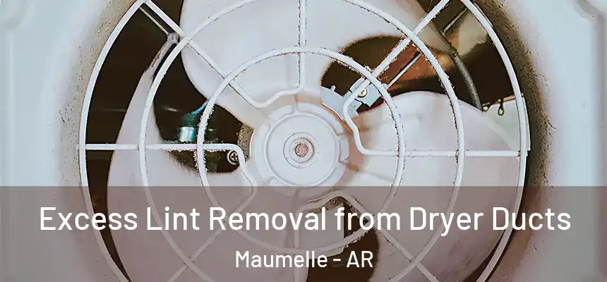  Excess Lint Removal from Dryer Ducts Maumelle - AR