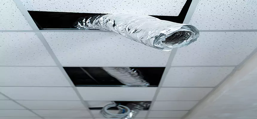 Affordable HVAC Sanitizing After Pest Removal in Maumelle