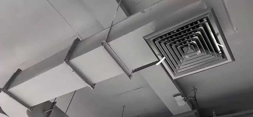 Restorative Allergy Relief Vent Cleaning – Coil, Blower & Housing Detail in Maumelle