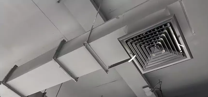 Our Rodent Droppings In Vents Services in Maumelle, AR