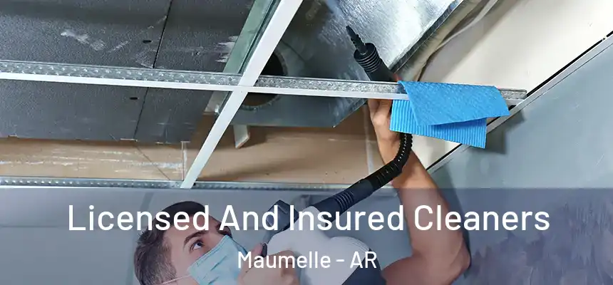  Licensed And Insured Cleaners Maumelle - AR