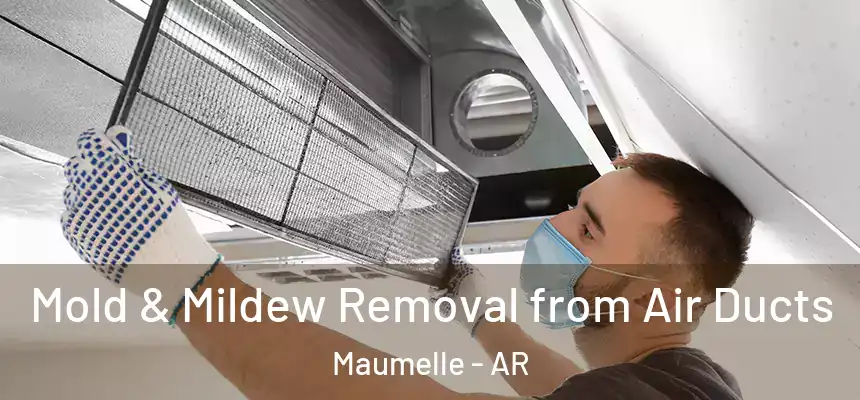  Mold & Mildew Removal from Air Ducts Maumelle - AR