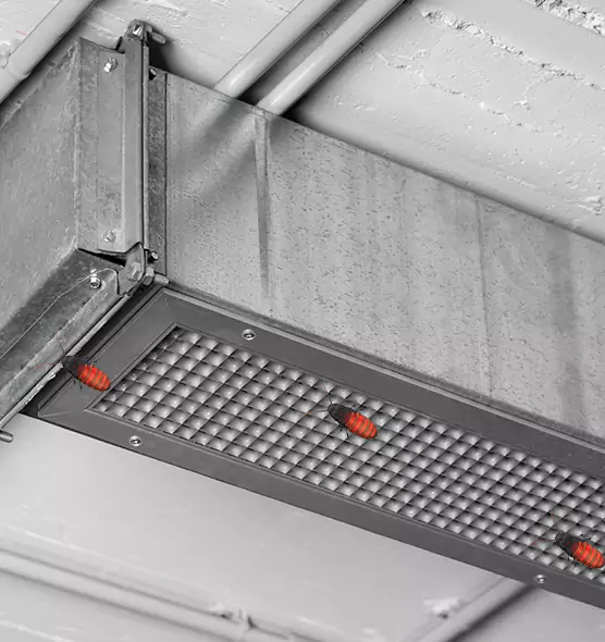 About Air Duct Cockroach Removal in Maumelle, AR