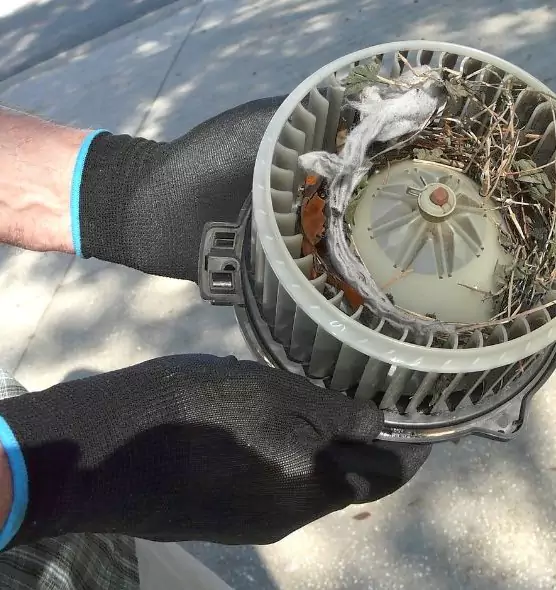 About Air Duct Mice Removal in Maumelle, AR