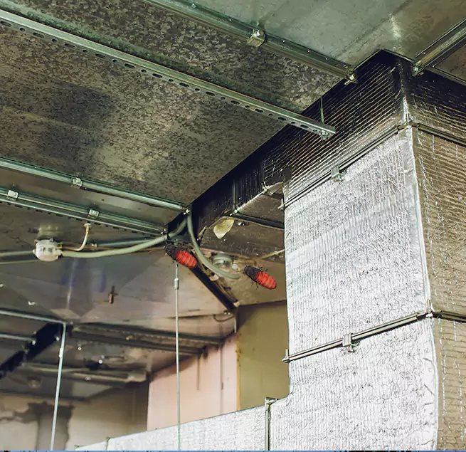 Why Homeowners & Businesses Trust Us in Maumelle, AR?