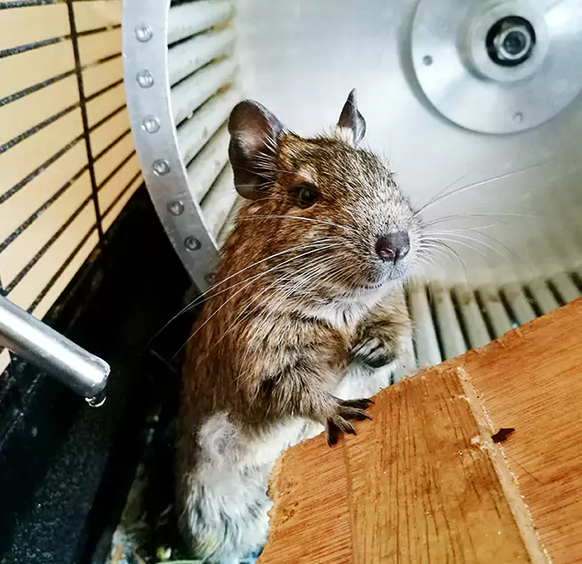 Why Homeowners & Businesses Trust Us Maumelle, AR?