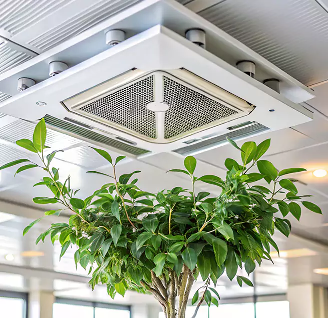 Why Homeowners & Businesses Trust Us in Maumelle, AR?